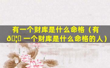 有一个财库是什么命格（有 🦉 一个财库是什么命格的人）